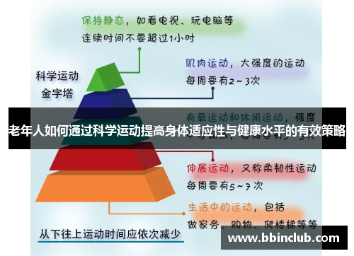 老年人如何通过科学运动提高身体适应性与健康水平的有效策略
