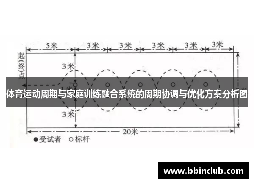 体育运动周期与家庭训练融合系统的周期协调与优化方案分析图