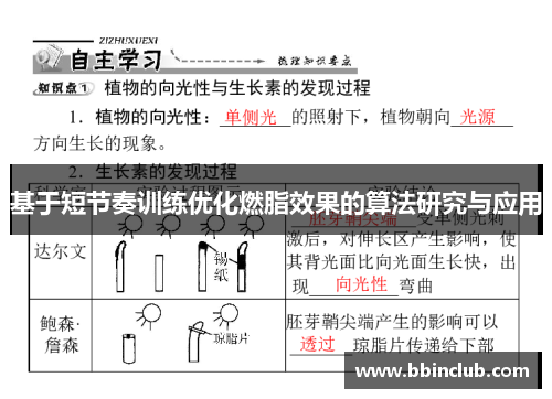 基于短节奏训练优化燃脂效果的算法研究与应用
