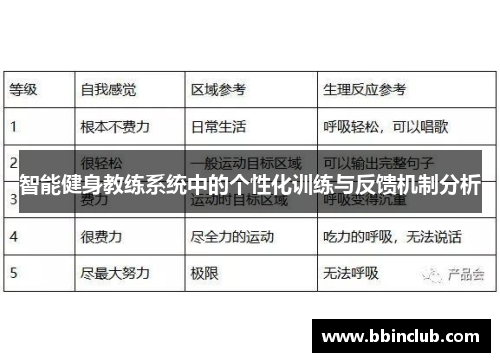 智能健身教练系统中的个性化训练与反馈机制分析